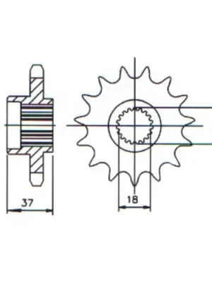 Begrenztes Angebot Ritzel