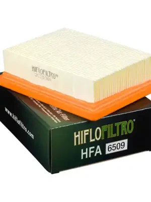 Jetzt Kaufen Luftfilter HIFLO HFA6509